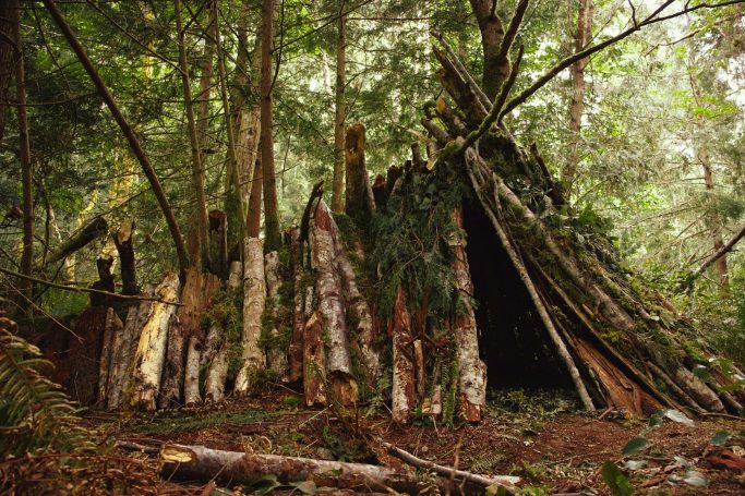 Refugio de madera construído con troncos en un bosque denso y verde.